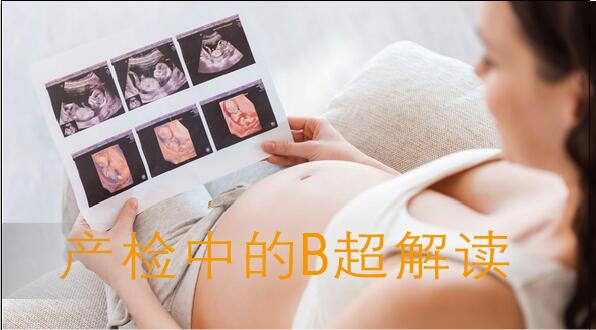 5月6日（周六）上午《产检中的B超解读》